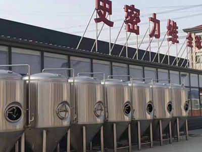即墨精酿啤酒设备厂—如何判断精酿啤酒设备的密封件需要更换？